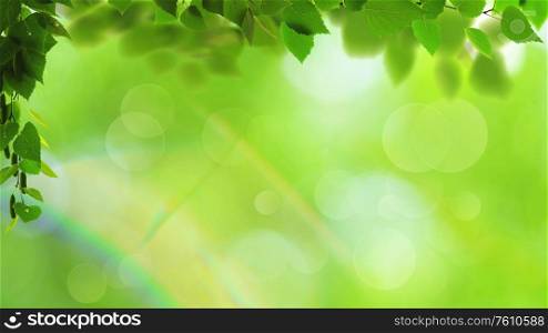 Abstract art backgrounds with green foliage. Environmental backgrounds