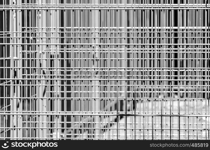 Abstract austere geometric pattern of iron bars, several barriers in front of a stadium, black and white