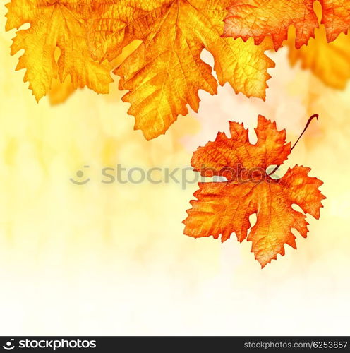 Abstract autumn background, orange autumnal backdrop, dry leaves border, old golden plants decoration, yellow foliage outdoor in october, autumn seasonal concept, brown flora textured wallpaper&#xA;