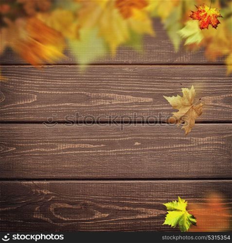 Abstract autumnal backgrounds. Fall maple leaves over vintage wooden desk
