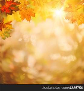 Abstract autumnal backgrounds for your design