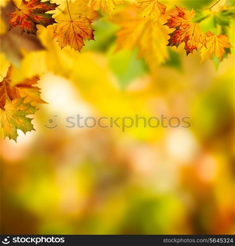 Abstract autumnal backgrounds with beauty bokeh