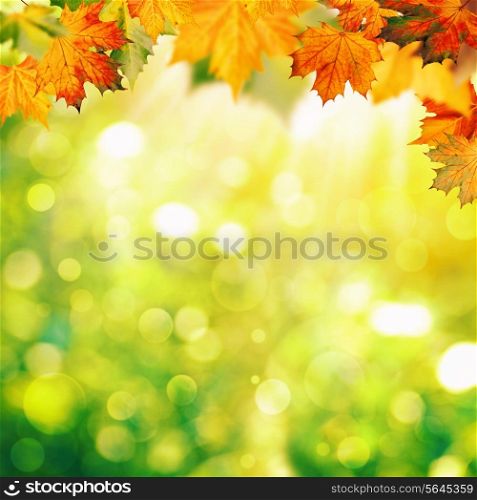Abstract autumnal backgrounds with beauty bokeh