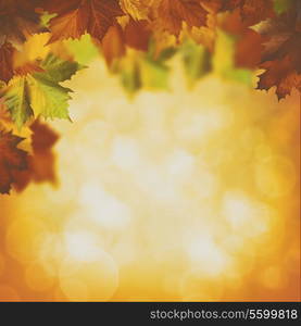 Abstract autumnal backgrounds with maple foliage and beauty bokeh