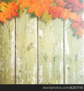 Abstract autumnal backgrounds with maple leaves over old wooden desk