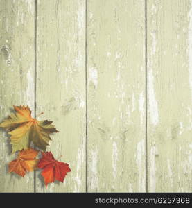 Abstract autumnal backgrounds with maple leaves over old wooden desk