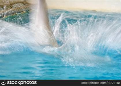 Abstract background blur with a dolphin and blue water