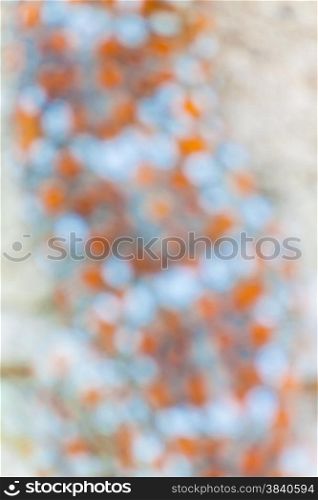 Abstract background by blur of gecko skin