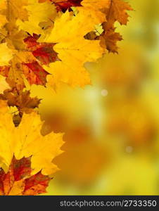 Abstract Background Composition - Autumn Leaves