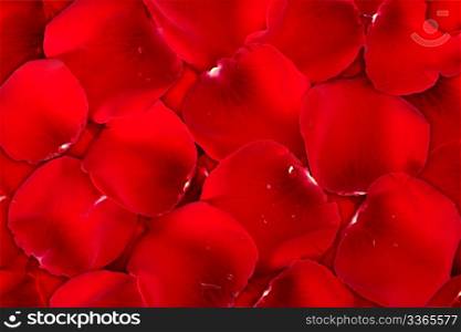 Abstract background dark red of rose petals for your design. Close-up. Studio photography.