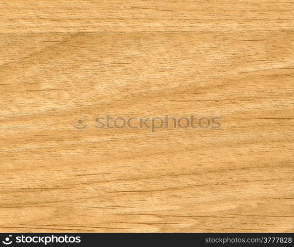 Abstract background from closeup of wood texture. High detailed of the image