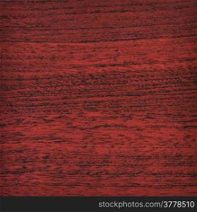 Abstract background from closeup of wood texture. High detailed of the image