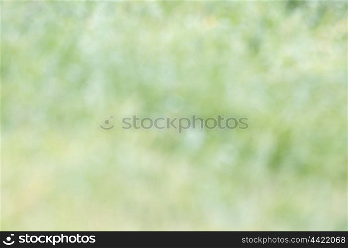 Abstract background green to use wallpaper