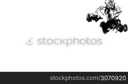 Abstract background of black ink in water on white