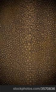 abstract background of brown leather texture
