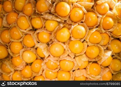 Abstract background of cape gooseberry, stock photo