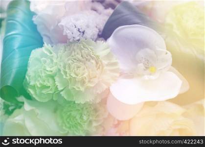 Abstract background of colorful flower . Nature background