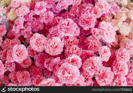 Abstract background of flowers