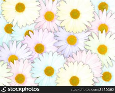 Abstract background of motley flowers for your design. Close-up. Studio photography.