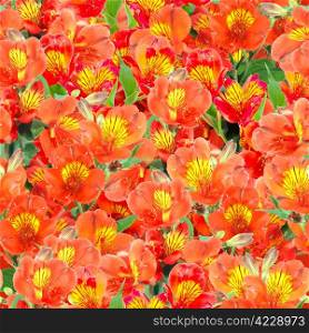 Abstract background of orange lily flowers and green leafs. Seamless pattern for your design. Close-up. Studio photography.