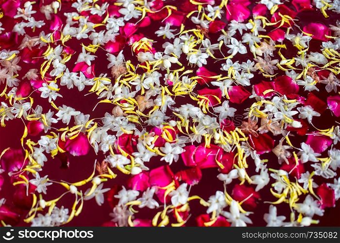 Abstract background of petal flower float on water
