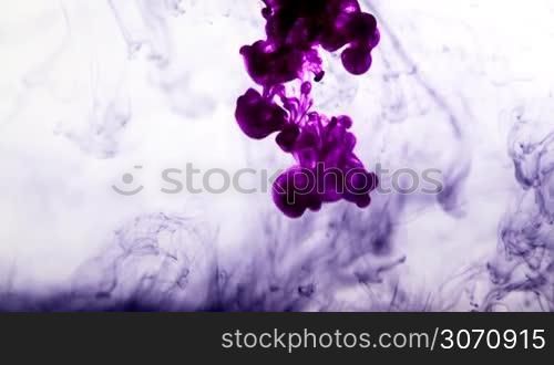 Abstract background of Purple ink in water on white