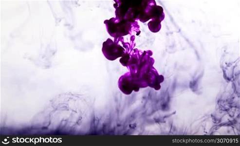 Abstract background of Purple ink in water on white