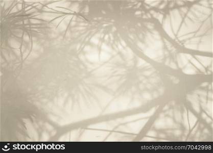 abstract background of tree branch shadows