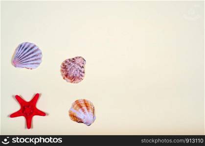 Abstract background of various shells on yellow