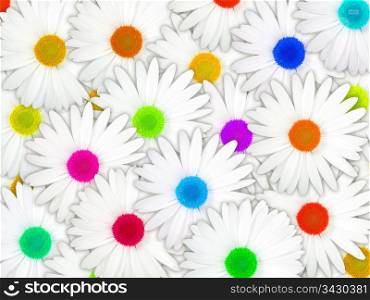 Abstract background of white flowers with motley center for your design. Close-up. Studio photography.
