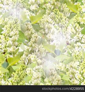 Abstract background of white lilac with green leafs. Seamless pattern for your design. Close-up. Studio photography.