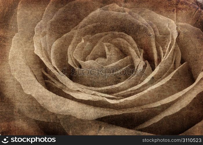Abstract background. silhouette of rose on the old paper