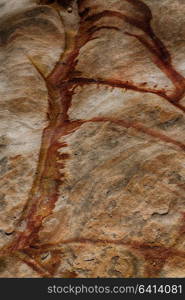 abstract background texture of the rock in the nature and empty space concept of solid and surface