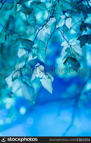 abstract background with blue leaves