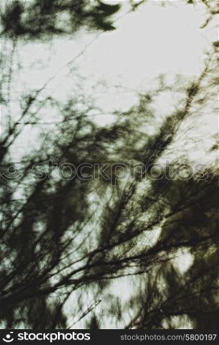 Abstract Background with blurred tree branches and sky