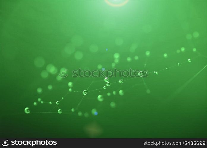 Abstract background with waterdrops on spider&rsquo;s web and sunlight. Selective focus