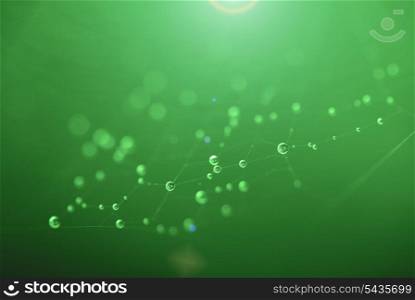 Abstract background with waterdrops on spider&rsquo;s web and sunlight. Selective focus