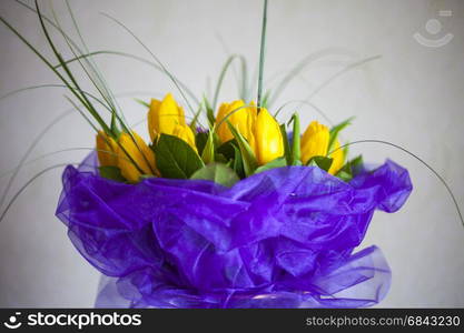 Abstract beautiful gentle spring flower background. Tulip flower. Abstract beautiful gentle spring flower background. Closeup with soft focus. Shallow focus