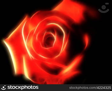 abstract beautiful rose on a black background