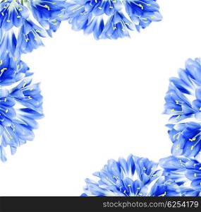 Abstract blue fresh flower border, isolated on white background with text space