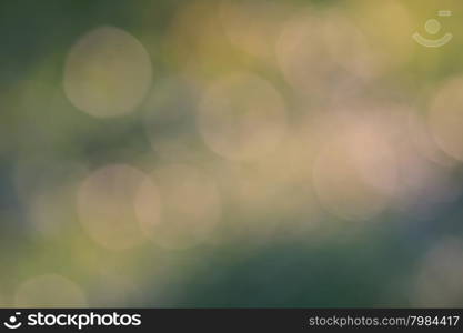 Abstract blur bokeh background, use as natural background