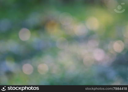 Abstract blur bokeh background, use as natural background