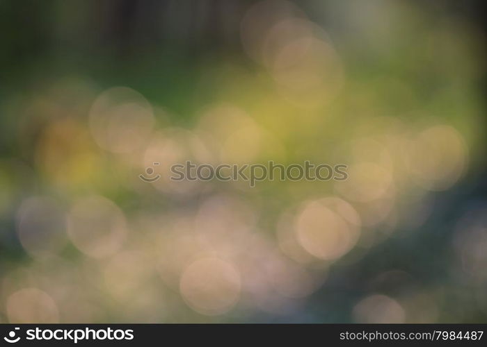 Abstract blur bokeh background, use as natural background