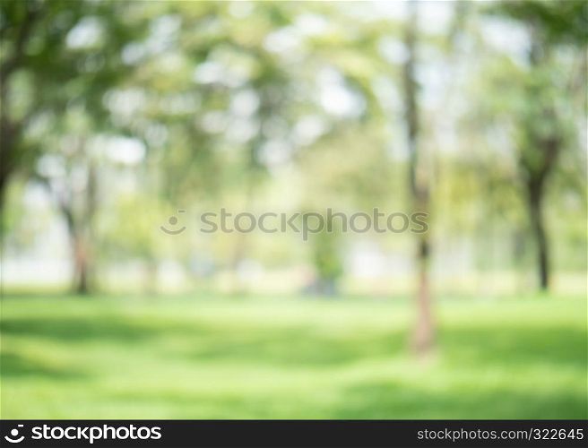 abstract blur green color at garden for background,blurred and defocused effect spring concept for design