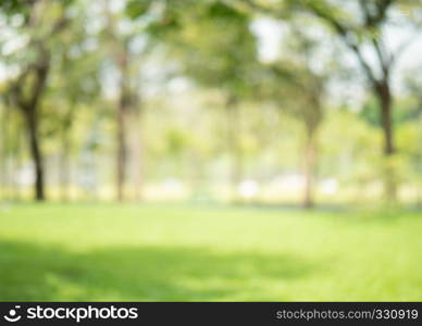 abstract blur green color at garden for background,blurred and defocused effect spring concept for design