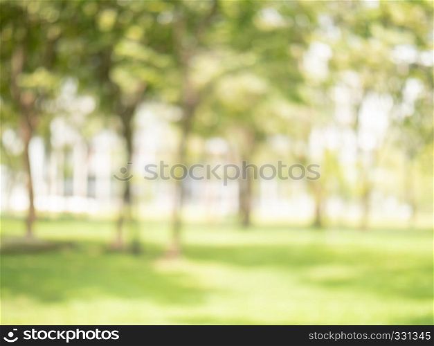 abstract blur green color at garden for background,blurred and defocused effect spring concept for design