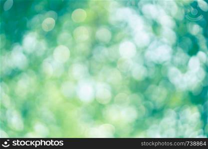 abstract blur green color for background, blurred and defocused effect spring concept for design