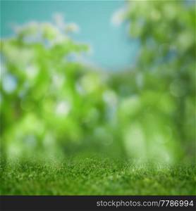 Abstract blured backgrounds with green grass and beauty bokeh