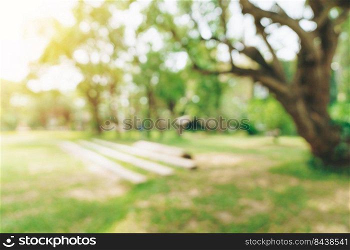 abstract blurred background of trees in garden park in summer day with sunlight.