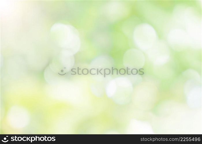 Abstract blurred defocus natural green bokeh background, Soft natural bokeh style For aesthetic creative design